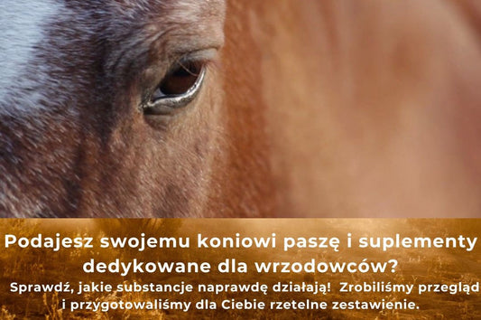 Podajesz swojemu koniowi paszę i suplementy dedykowane dla wrzodowców?
