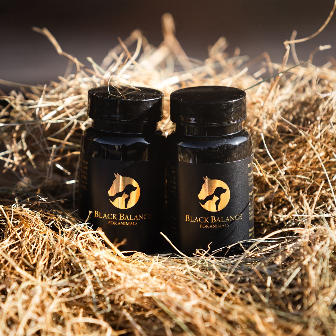 METALE CIĘŻKIE -cichy wróg zdrowia zwierząt - jak się ich pozbyć z organizmu skutecznie i bezpiecznie.