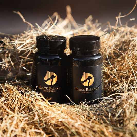 METALE CIĘŻKIE -cichy wróg zdrowia zwierząt - jak się ich pozbyć z organizmu skutecznie i bezpiecznie.